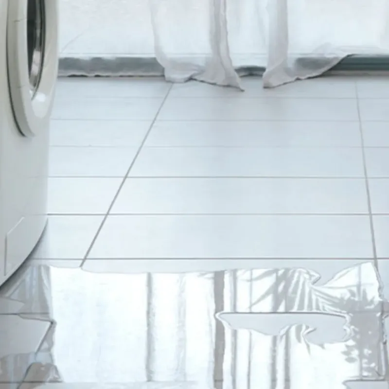 Appliance Leak Cleanup in Rochester, MN