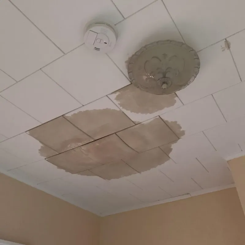 Ceiling Water Damage Repair in Rochester, MN